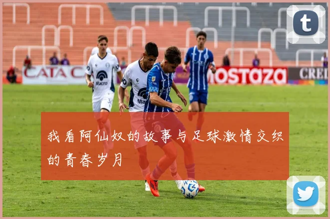 我看阿仙奴的故事与足球激情交织的青春岁月