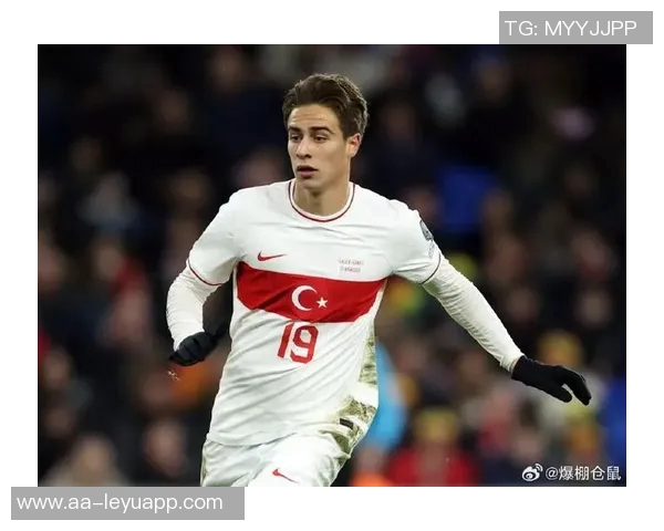 土耳其国家队新名单公布居莱尔恰尔汗奥卢伊尔迪兹入选乌尊未能入选